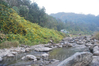 Rishikhola - Rishi River Retreat